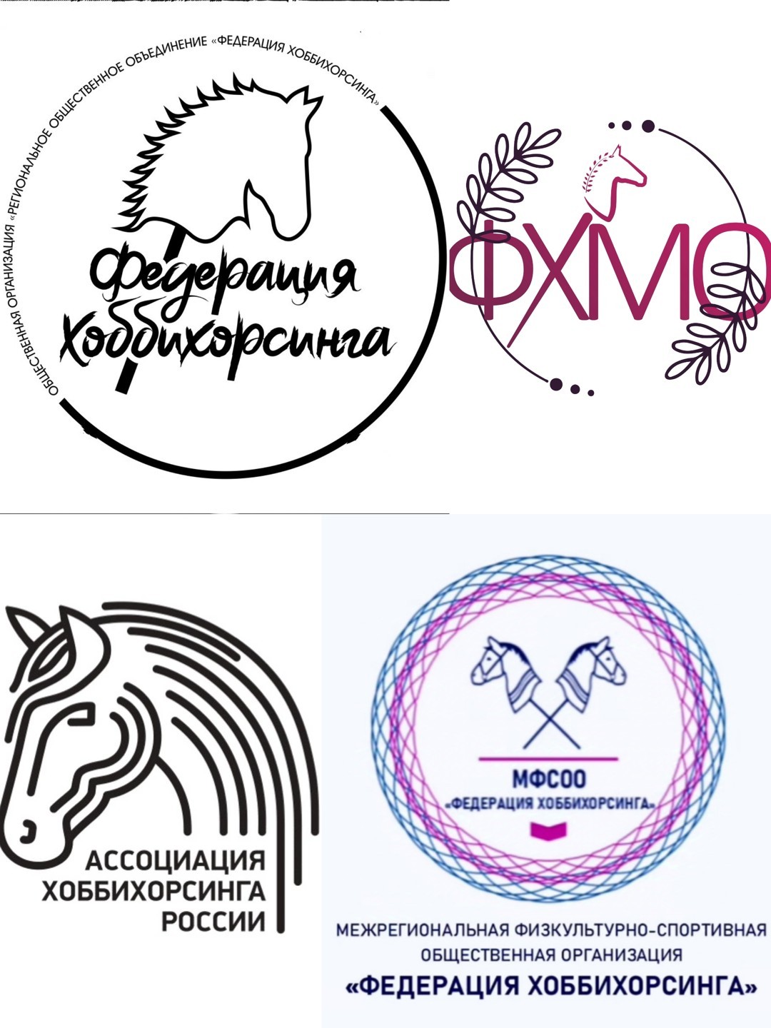 Официальные организации по хоббихорсингу