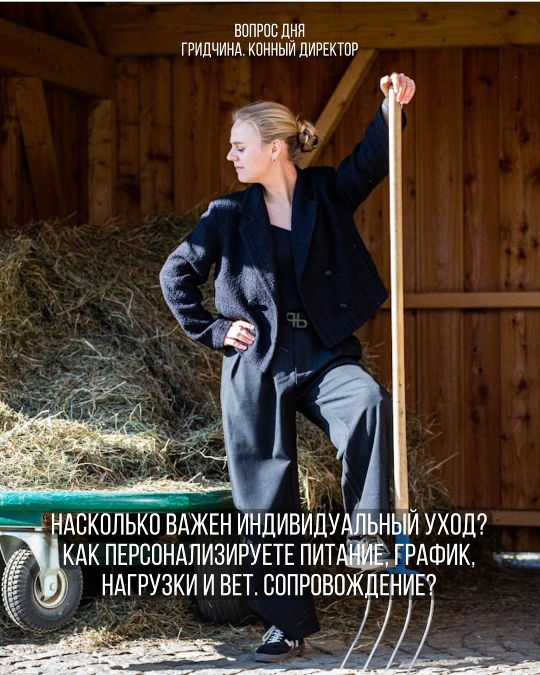 Гридчина. Конный директор | вопрос дня #8