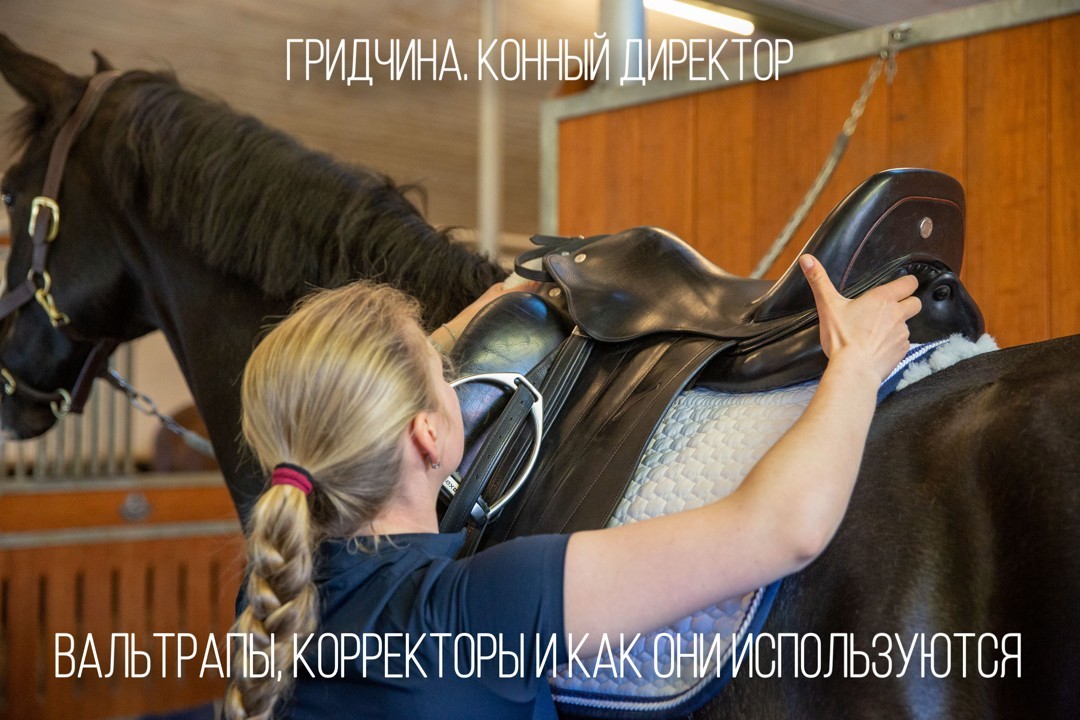 Гридчина. Конный директор