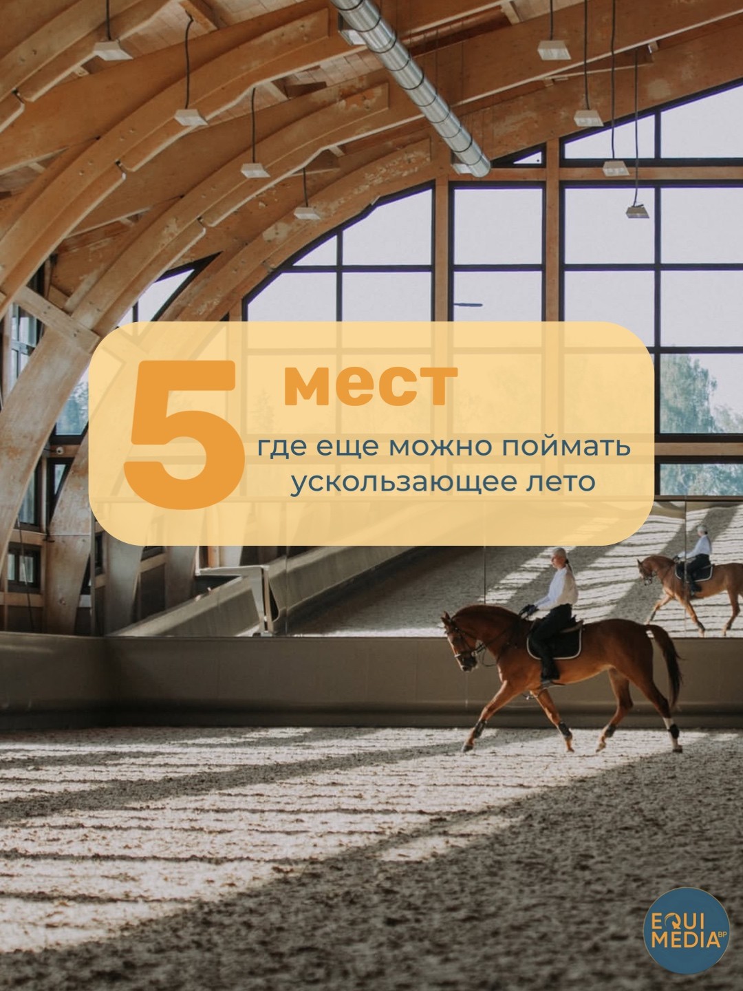 ТОП-5 конных мест, где еще можно поймать ускользающее лето